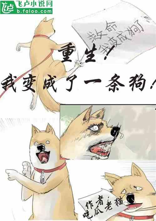 今日宜吃瓜小说合集,今日宜吃瓜小说合集精彩抢先看