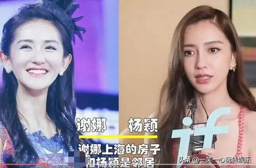 邻居明星网红小说阅读,邻居明星网红的甜蜜邂逅