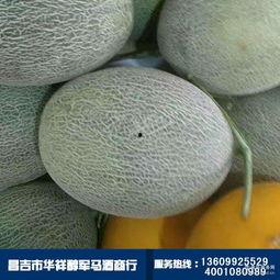 今日哈密瓜价最新行情,最新行情揭示市场动态